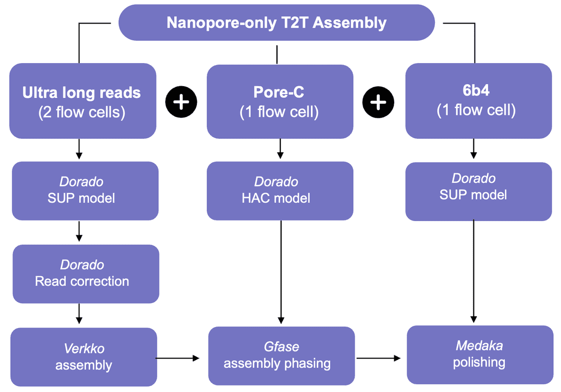 High-level assembly workflow