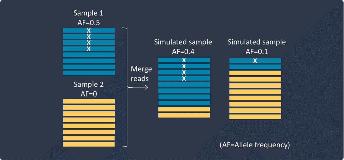 Low allele frequency simulation