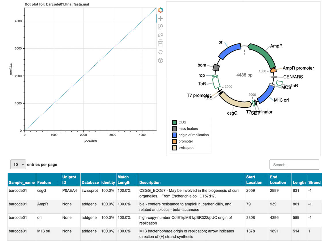 Screenshot from the wf-clone-validation HTML report showing the
pLannotate figure for the assembled plasmid. The coordinates for the annotated
features are also shown in a tabular format along with additional information on
sequence identify and coverage.
